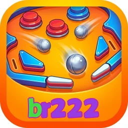 br222